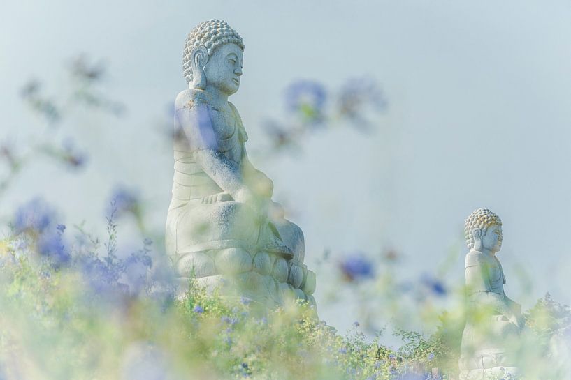Buddha-Statuen in frischen Farben von Frans Scherpenisse