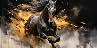 Black horse