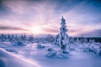 Landscape of Sunrise Finland