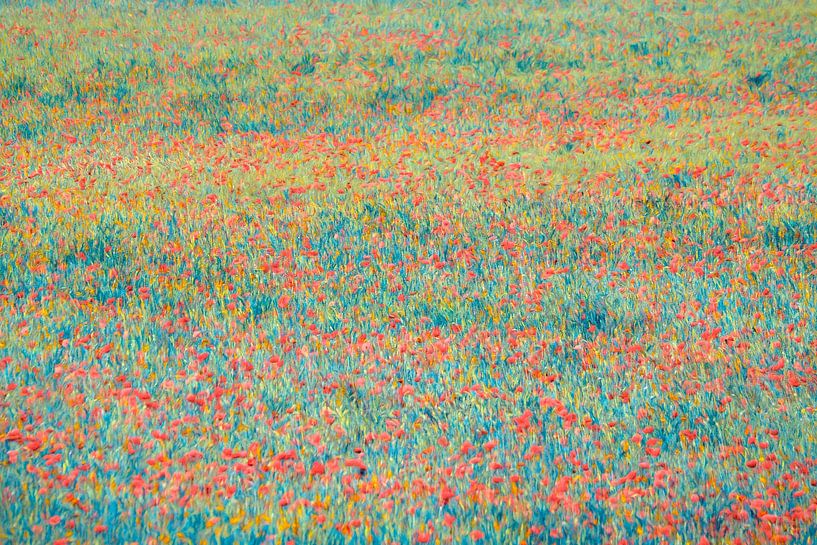 Poppylismus von Lars van de Goor