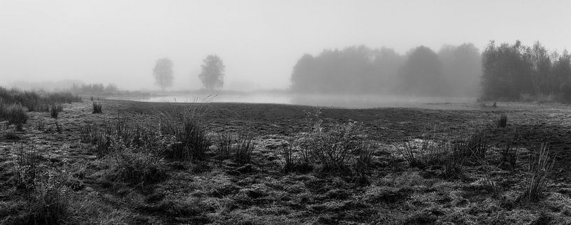 Misty Rondven von wimke247