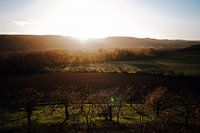 Uitzicht bij zonsondergang op het dal van de Bode in het Harz gebergte in de herfst.