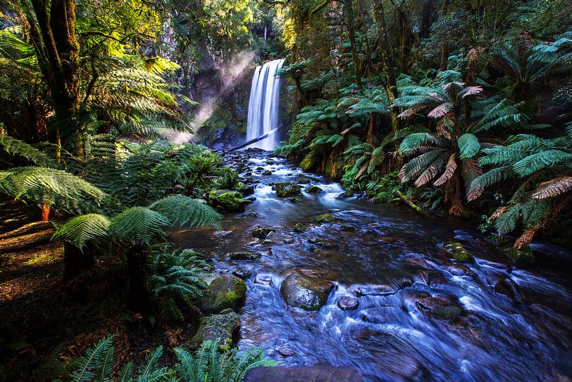 Tropischer Strom von Walljar