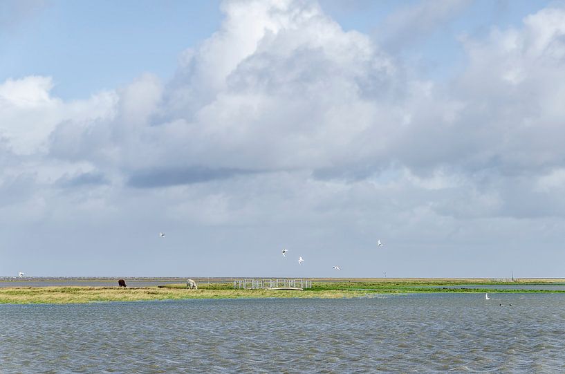 Kwelder by Marnefoto .nl