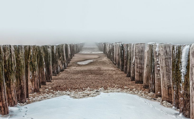 Breakwater in the North Sea near the snowy beach of Dishoek in Zeeland by Wout Kok