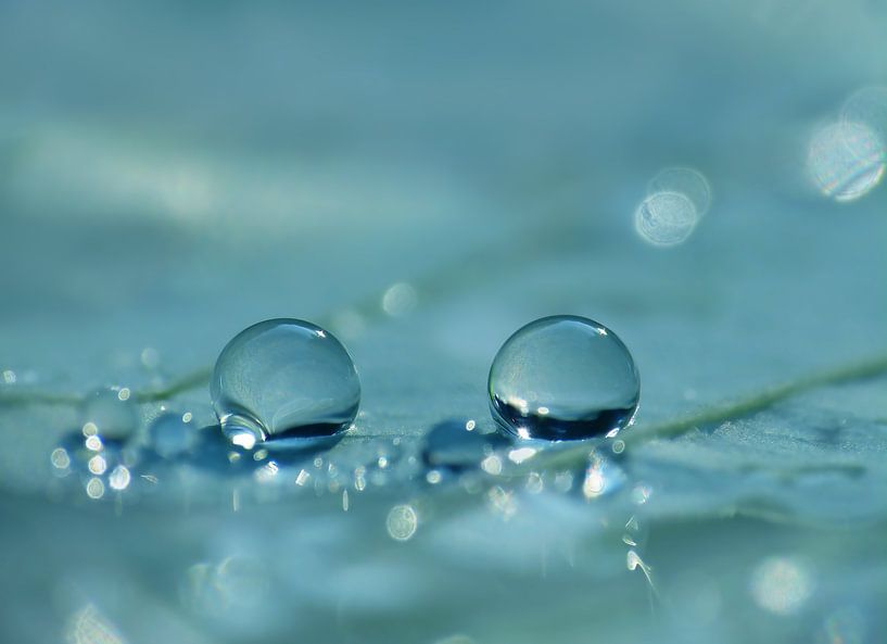 Blue Paradise - Twee druppels in blauw van Caroline Lichthart