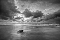 Basalt boulder on the beach!