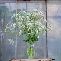 Stilleben - Prickelndes Pfeifenkraut