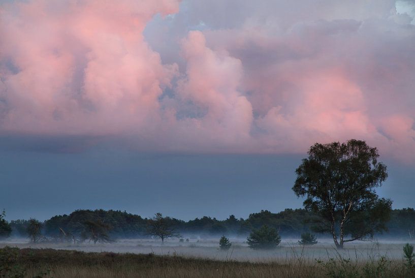 Coucher de soleil sur la lande de Strabrecht par Hetwie van der Putten