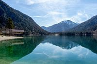 Plansee