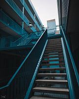 Vous osez monter les escaliers