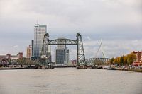 Three bridges, the koningshavenbrug, koningsbrug and erasmusbrug in Rotterdam.