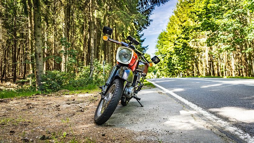 MZ ES 250/2 par Johnny Flash