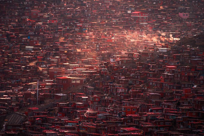 Intensive Baugruppe von TIANQI 