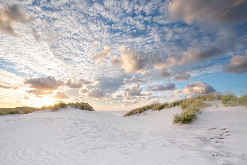 Beach life by Wad of Wonders