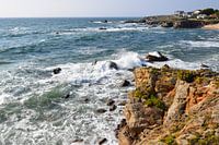 Mouette sur la côte Atlantique accidentée
