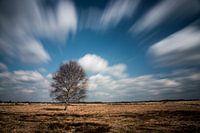 Vue large sur la Drentse Aa