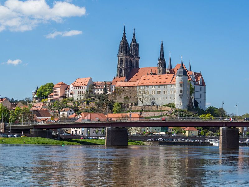 Blick auf die Albrechtsburg in Meißen Sachsen von Animaflora PicsStock