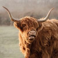 Portrait du montagnard écossais