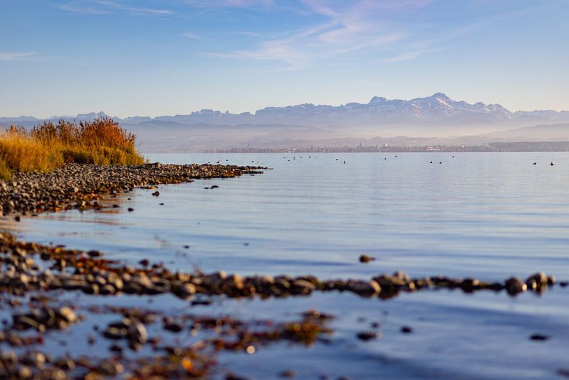 Lake Constance in autumn by Jan Schuler