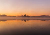 Ein nebliger Morgen.