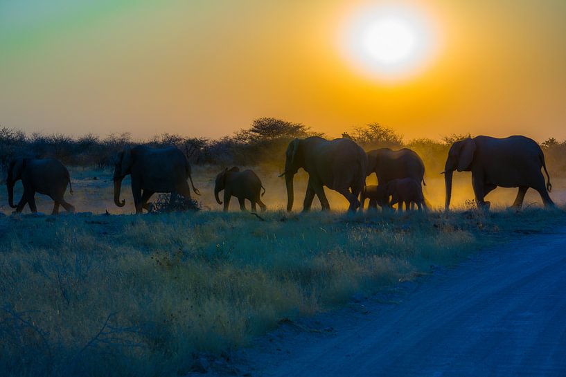Olifanten tijdens zonsondergang par Ger&Wil van de Bovenkamp