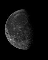 Abnehmender Juni-Gibbon