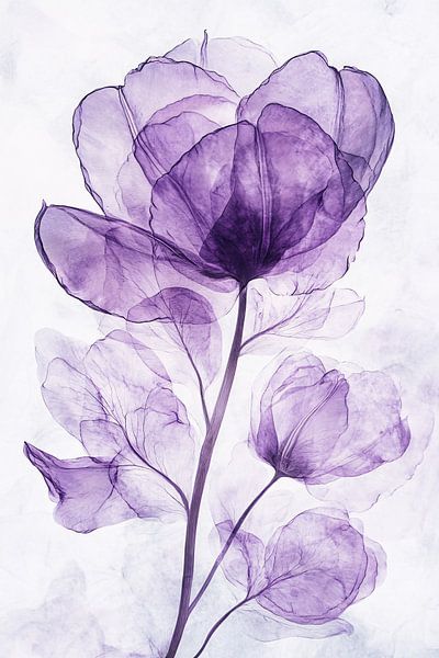 Art floral violet transparent par Imperial Art House
