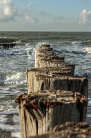 Paalhoofden bij Domburg, Zeeland