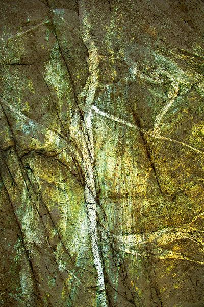 ABSTRACT TREE BRANCH by Petra Terpstra