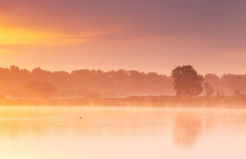 Lever de soleil Terhorsterzand (Drenthe- Pays-Bas) par Marcel Kerdijk
