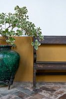 Stilleben las Duenas