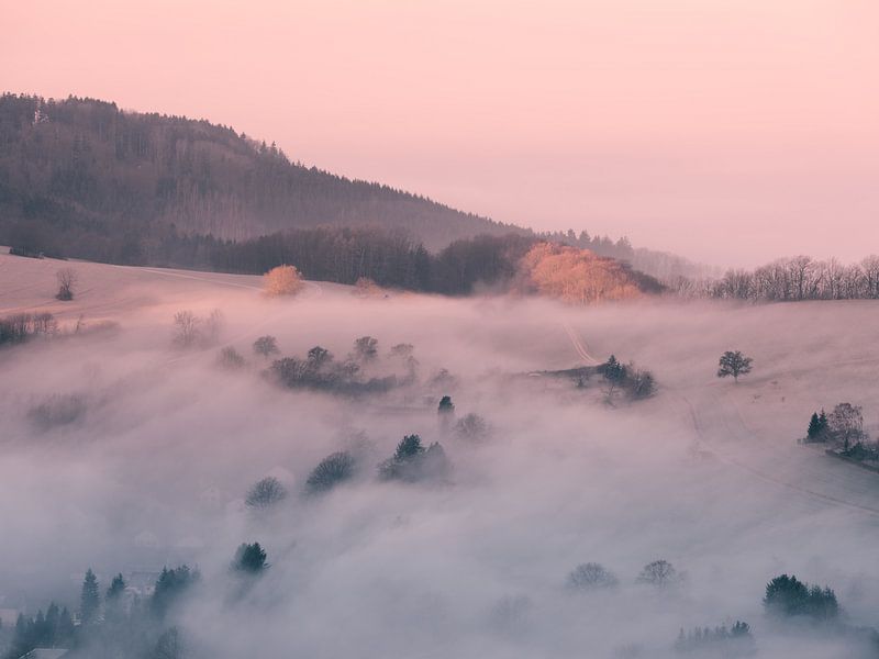 Brume matinale hivernale sur le sable de Heubach par Max Schiefele