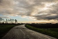 Die Unkrautbekämpfung