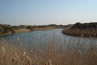 Landscape - The Netherlands 4