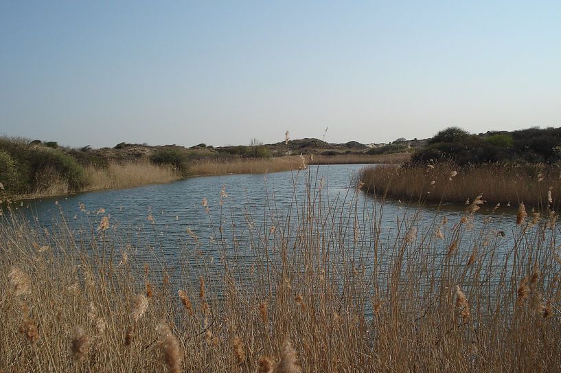 Landscape - The Netherlands 4 von Lyn Van Veldhoven