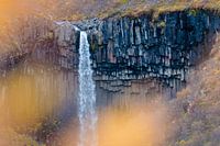 Chute d'eau de Svartifoss