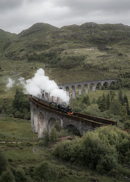 Dampfzug über das Glenfinnan-Viadukt in Schottland (Harry Potter) von fromkevin