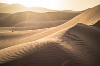 Sahara-Sonnenstrahlen