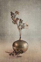 Hortensia. Zachte trots. Grijs. Beige.