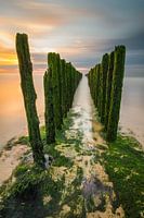 Der Weg zum Horizont