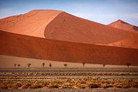 NAMIBIE ... Namib Desert Dunes II