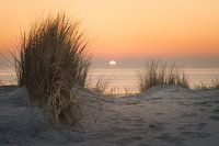Zonsondergang met duingras in Zeeland