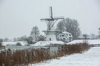 Mühle der Schmetterling