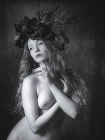 Schwarzer Schmetterling