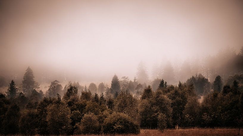 Schweigen von Rik Verslype