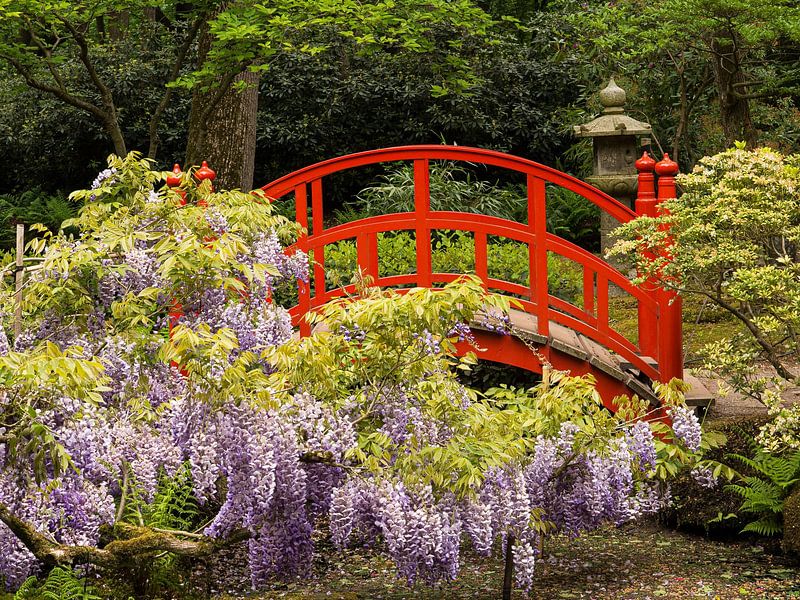 japanese garden III by Dietjee FoTo