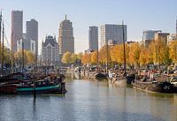 Rotterdam im Herbst