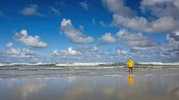 Vue de la mer du Nord depuis la plage de Terschelling