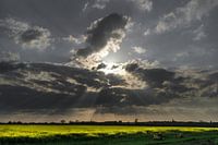 Sun through clouds over rapeseed field 